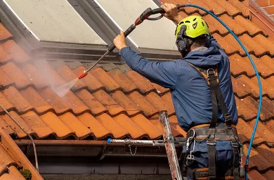 Démoussage et hydrofuge de toiture à Roussieux